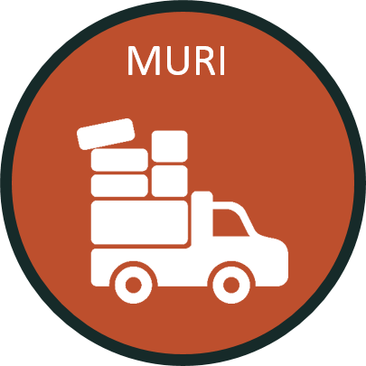 Muri