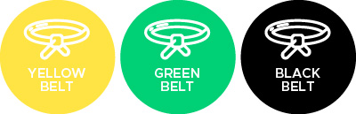 Certifications Yellow, Green et Black Belt 