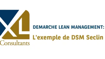 Déploiement d'une démarche Lean Management : L'exemple de DSM Seclin
