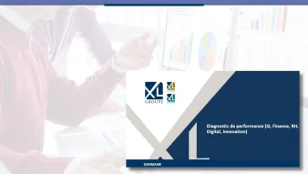 Diagnostic de performance (SI, Finance, RH, Digital, Innovation)