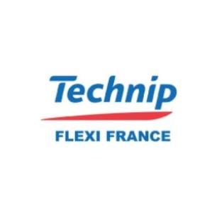Flexi France : Formation d'une équipe de Green Belts et de Black Belts