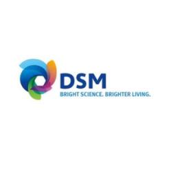 dsm logo